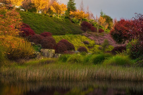 RT08 - Autumn - Rotorua, Bay of Plenty.jpg